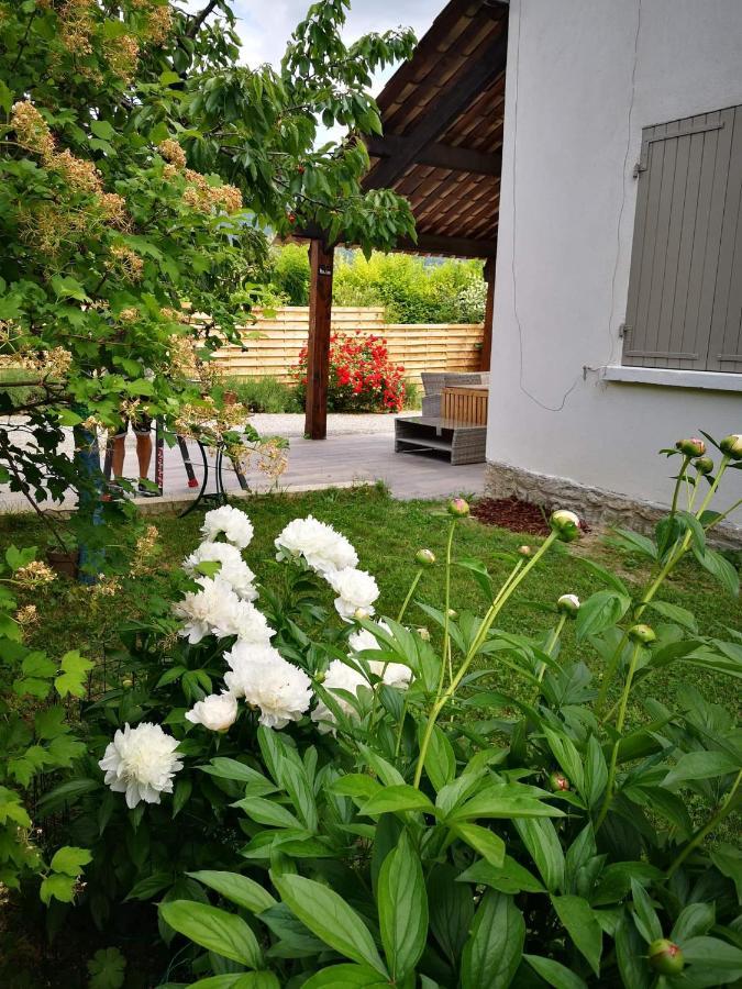 Maison 3 Etoiles Avec Jardin Pour Familles, Sportifs, Curistes... 디뉴레뱅 외부 사진